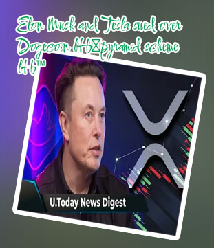 Elon crypto